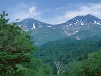 山部会