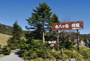 ��Ȭ���٥ϥ����󥰡�2015/10/6(��)��8(��)