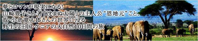 ̴�ȥ��ޥ󤬸��¤ˤʤ롪����˭�Ҥ����������ޤ����ۡפμ�͸��Ȳ��ϸ��ɤ��ȡ��Ρ����Ҵ���Ϻ����������˿��롡�����β��񡦥��˥����缫��10���֤�ι